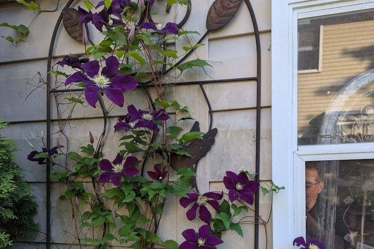 29641175/17-durbin-court/katimavik/ottawa/ontario/K2L3T7_31