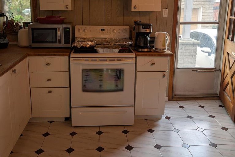 29018995/393-donald-street/overbrookcastle-heights/ottawa/ontario/K1K1M2_8