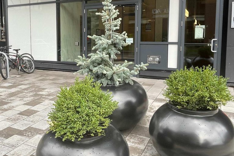 28933114/705-203-catherine-street/ottawa-centre/ottawa/ontario/K2P1J5_2