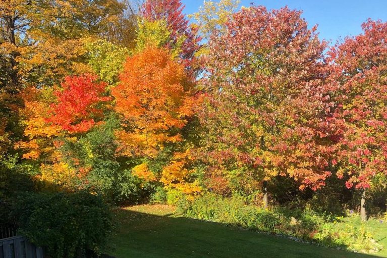 29627001/285-monterey-drive/leslie-park/ottawa/ontario/K2H7B1_41