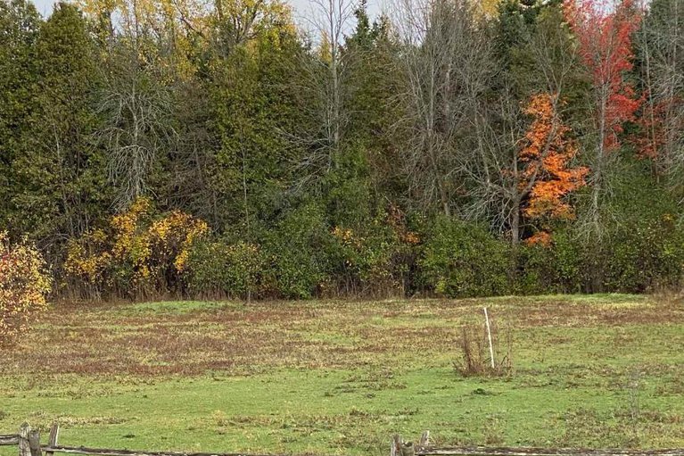 29026096/947-townline-road-n/north-grenville-twp-kemptville-east/north-grenville/ontario/K0G1J0_31