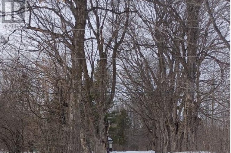 29456643/3686-maple-avenue/augusta-twp/augusta/ontario/K0E1T0_6