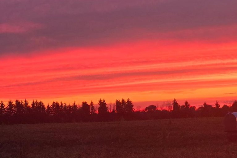 28771764/11908-toyeshill-road/south-dundas-matilda-twp/south-dundas/ontario/K0C2H0_43