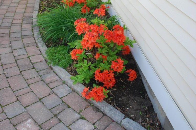 29349074/6066-meadowhill-crescent/chapel-hill/ottawa/ontario/K1C5R9_39