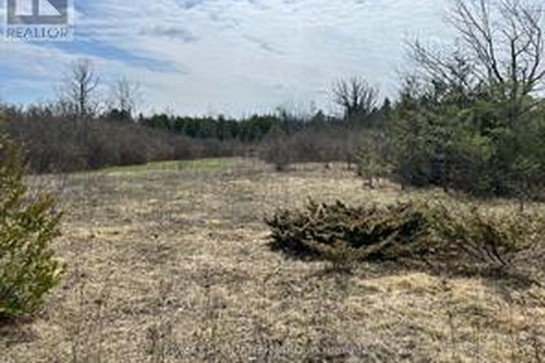 29688482/lot-138-bourne-road/beckwith-twp/beckwith/ontario/K7A4S7_2
