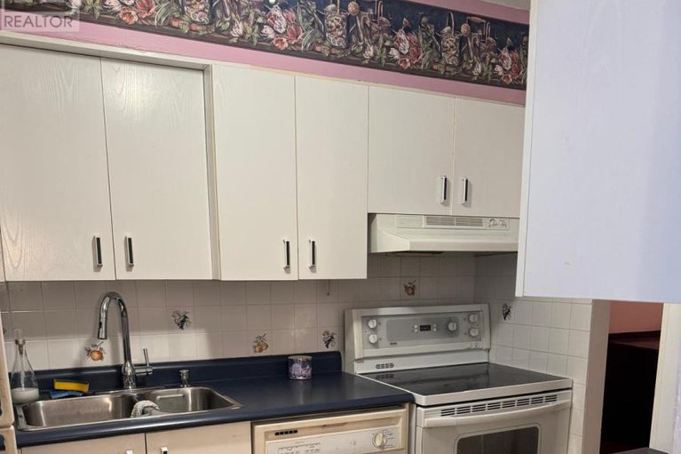 29233986/1607-158a-mcarthur-avenue/vanier/ottawa/ontario/K1L8E7_6