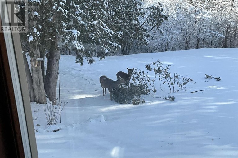 29591546/4637-northwoods-drive/constance-bay/ottawa/ontario/K0A3M0_48