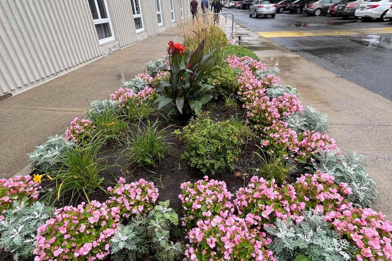 29361379/ph4-158a-mcarthur-avenue/vanier/ottawa/ontario/K1L7E7_38