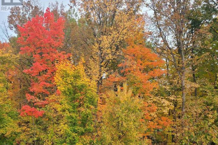 29426960/185-teal-crescent/chatelaine-village/ottawa/ontario/K1E2C3_27