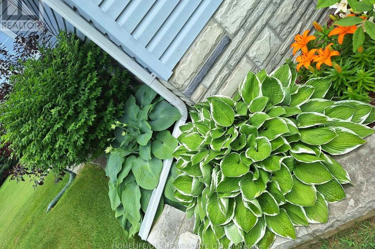 29566163/1561-blue-church-road/augusta-twp/augusta/ontario/K0E1T0_34