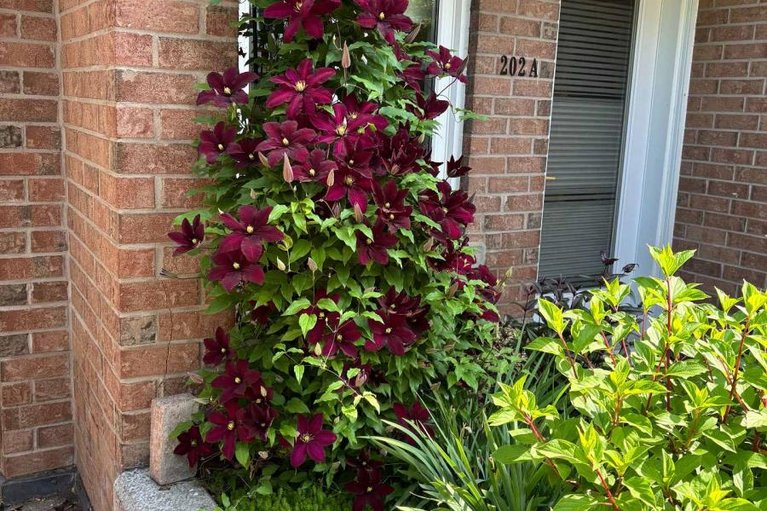 29521537/202a-62-donald-street/overbrook/ottawa/ontario/K1K1N2_32