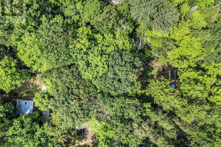 28670947/pt-l-27-bow-lake-lane/lanark-highlands-lanark-twp/lanark-highlands/ontario/K0G1K0_12