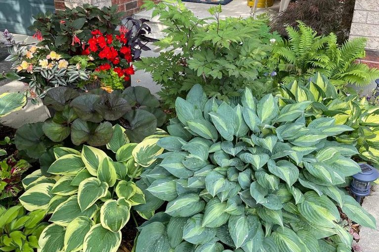 29653715/105-destiny-private/fallingbrookgardenway-south/ottawa/ontario/K4A0K6_42