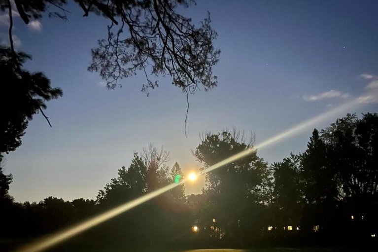 29608681/241-dion-avenue/town-of-rockland/clarence-rockland/ontario/K4K0M3_50