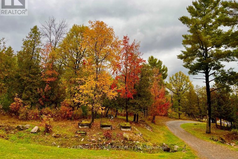 29056398/756-bellamy-mills-road/mississippi-mills-ramsay-twp/mississippi-mills/ontario/K0A1A0_43