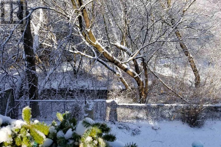 29527722/23-riverbank-court/stittsville-central/ottawa/ontario/K2S1V7_49