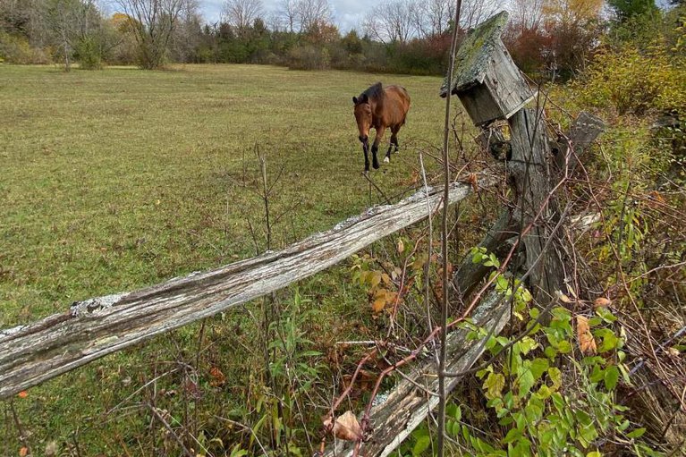 29026096/947-townline-road-n/north-grenville-twp-kemptville-east/north-grenville/ontario/K0G1J0_35