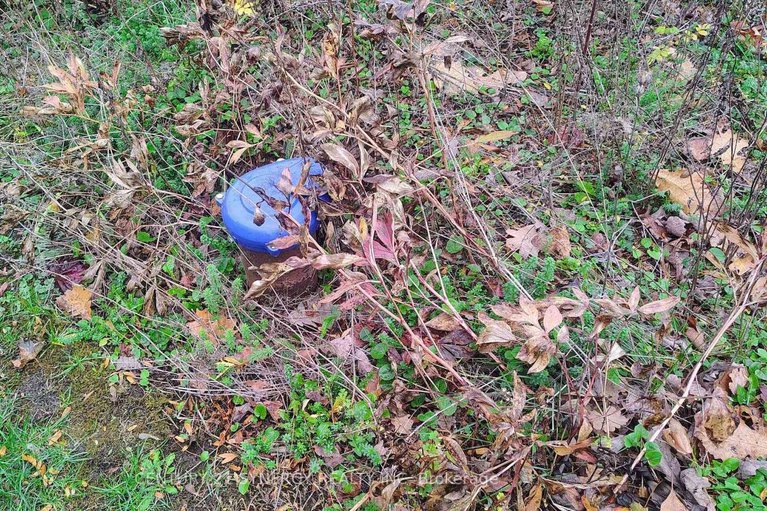 29026068/2772-8th-line-road/metcalfe/ottawa/ontario/K0A2P0_6