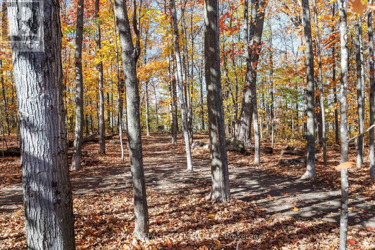 29049402/16-spinney-way/longfields/ottawa/ontario/K2J4Y8_36