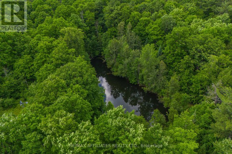 28517166/1655-old-perth-road/mississippi-mills-ramsay-twp/mississippi-mills/ontario/K0A1A0_46