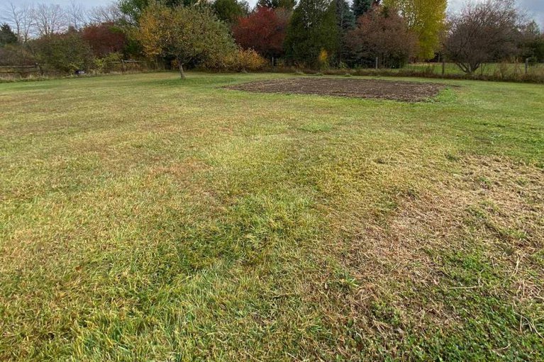 29026096/947-townline-road-n/north-grenville-twp-kemptville-east/north-grenville/ontario/K0G1J0_33