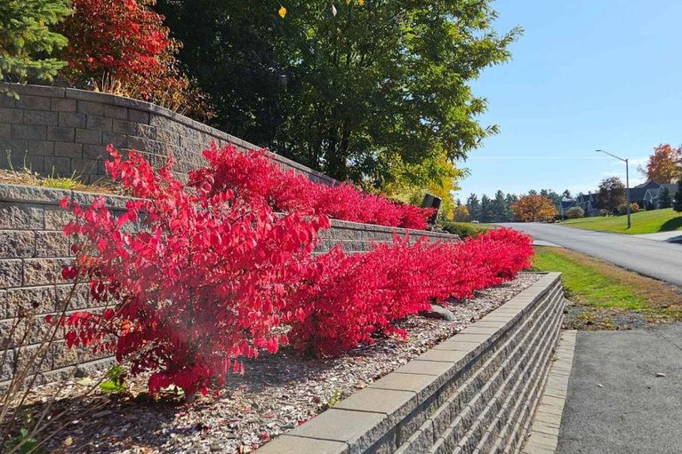 29630814/1-forest-hill-road/long-sault/south-stormont/ontario/K0C1P0_48