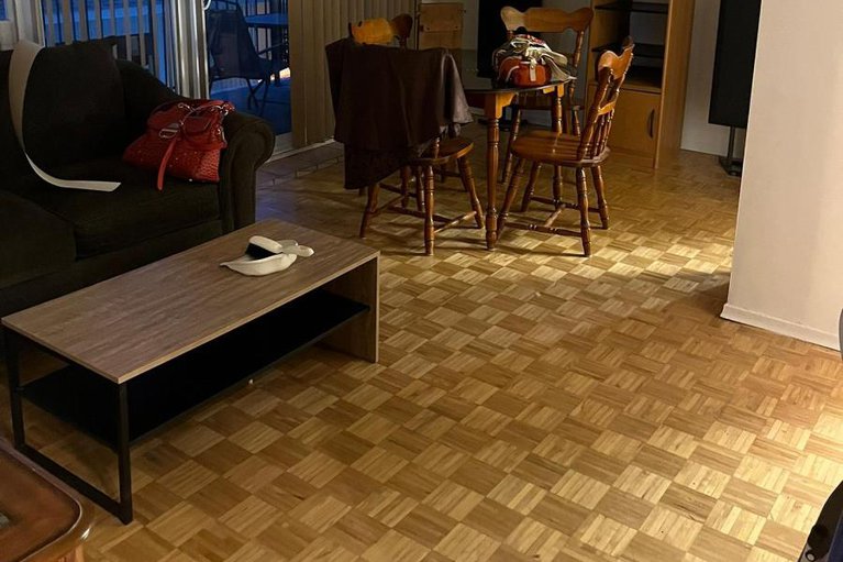 29142160/204-158b-mcarthur-avenue/vanier/ottawa/ontario/K1L8C9_3