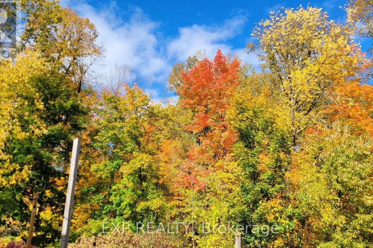 29426960/185-teal-crescent/chatelaine-village/ottawa/ontario/K1E2C3_29