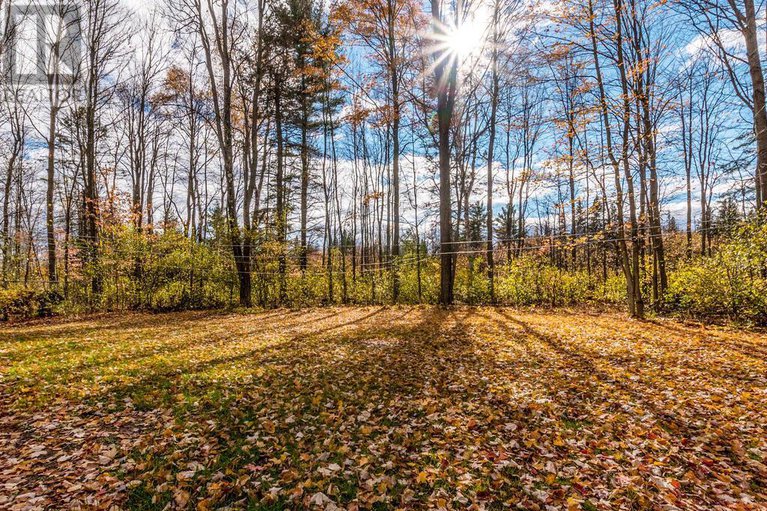 29038315/1423-diamondview-road/huntley-ward-south-east/ottawa/ontario/K0A1L0_34