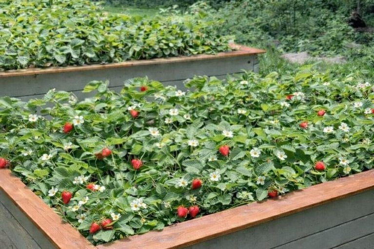 29442776/2191-cassburn-road/champlain-twp/champlain/ontario/K0B1K0_96