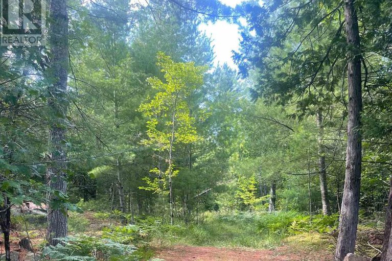 28763125/756-bellamy-mills-road/mississippi-mills-ramsay-twp/mississippi-mills/ontario/K0A1A0_37