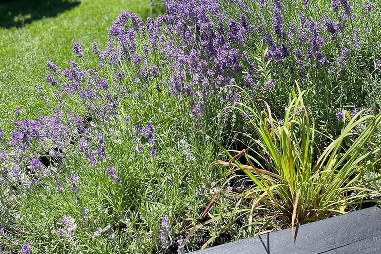 29497255/358-gerry-lalonde-drive/avalon-west/ottawa/ontario/K4A0Y3_35