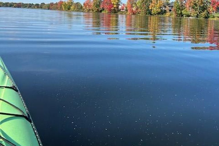 29377762/59-johanna-street/almonte/mississippi-mills/ontario/K0A1A0_42