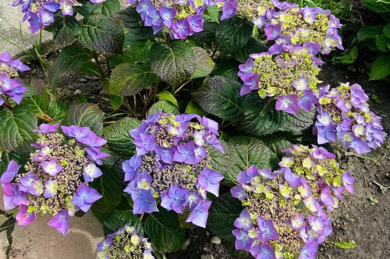 29092517/95-1474-heatherington-road/heron-gateindustrial-park/ottawa/ontario/K1V6S1_47