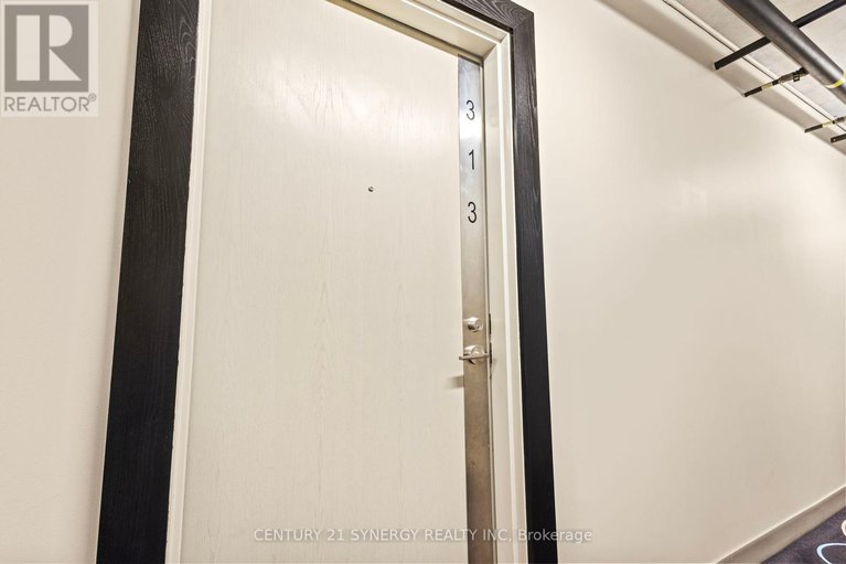 28658566/313-224-lyon-street-n/ottawa-centre/ottawa/ontario/K1R0C1_29