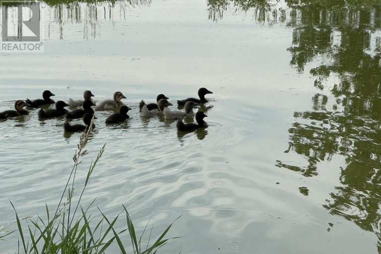 29595162/933-craig-road/north-grenville-twp-kemptville-south/north-grenville/ontario/K0G1S0_50