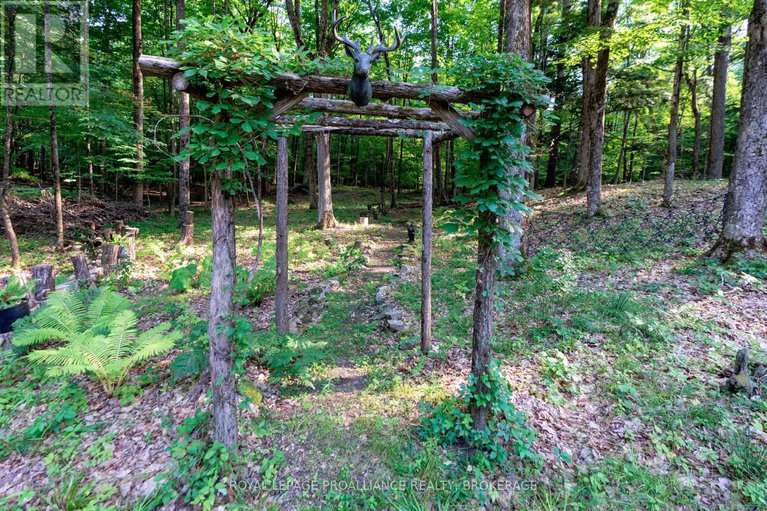 28642249/141-maplebush-trail/drummondnorth-elmsley-north-elmsley-twp/drummondnorth-elmsley/ontario/K7H3C7_37