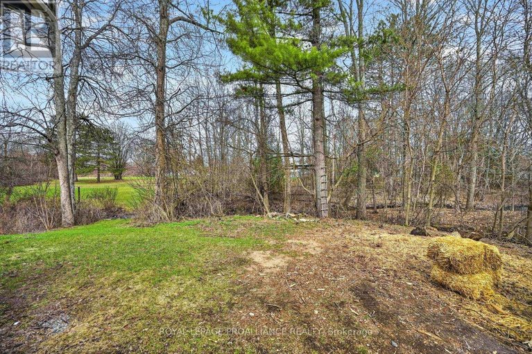 29645403/8100-amelia-street/augusta-twp/augusta/ontario/K0G1R0_33