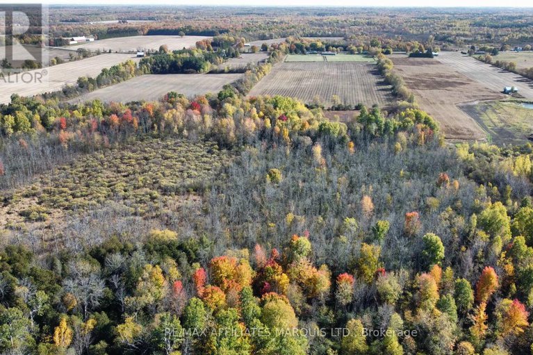 29039205/7788-county-21-road/augusta-twp/augusta/ontario/K0E1X0_42