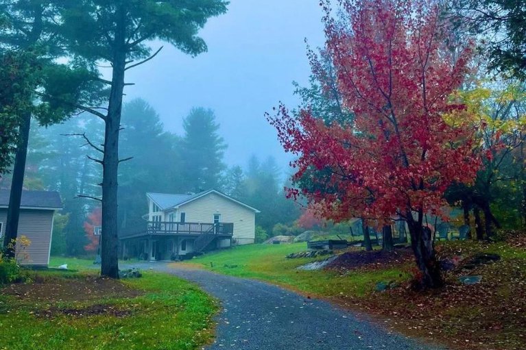 29056398/756-bellamy-mills-road/mississippi-mills-ramsay-twp/mississippi-mills/ontario/K0A1A0_42