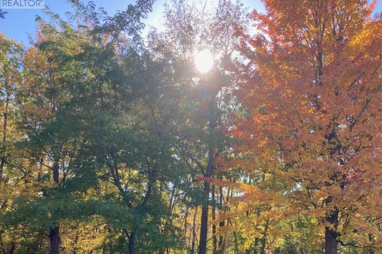 29392400/834-south-gower-drive/north-grenville-twp-kemptville-east/north-grenville/ontario/K0G1J0_32