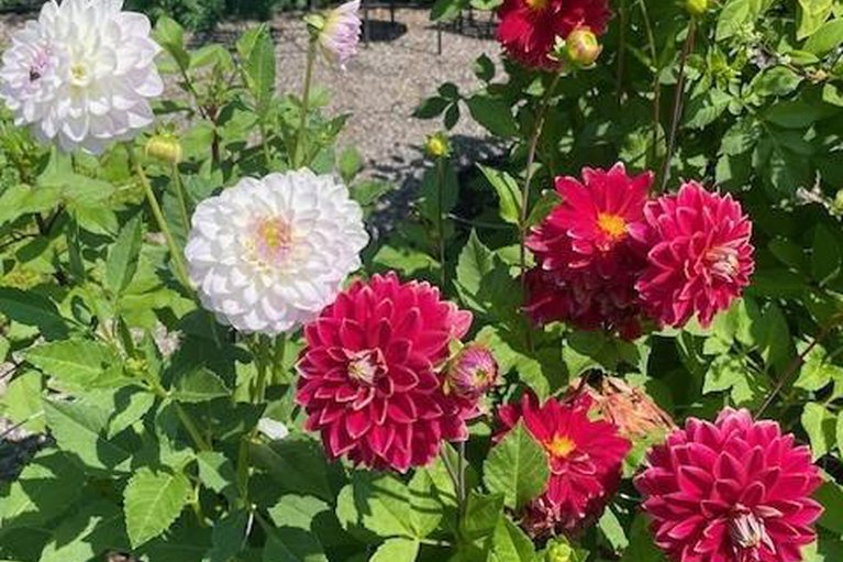 29181079/1752-kilborn-avenue/urbandale-acres/ottawa/ontario/K1H6N2_44