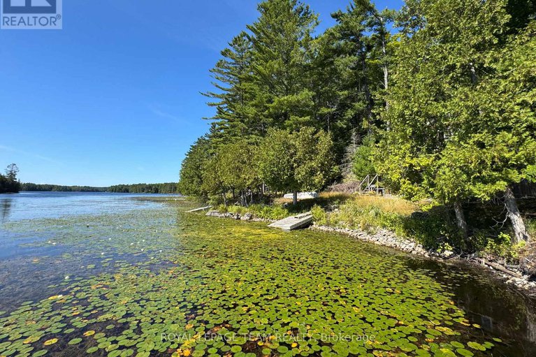 28818574/429-hardwood-ridge-road-w/lanark-highlands-lanark-twp/lanark-highlands/ontario/K0G1K0_35