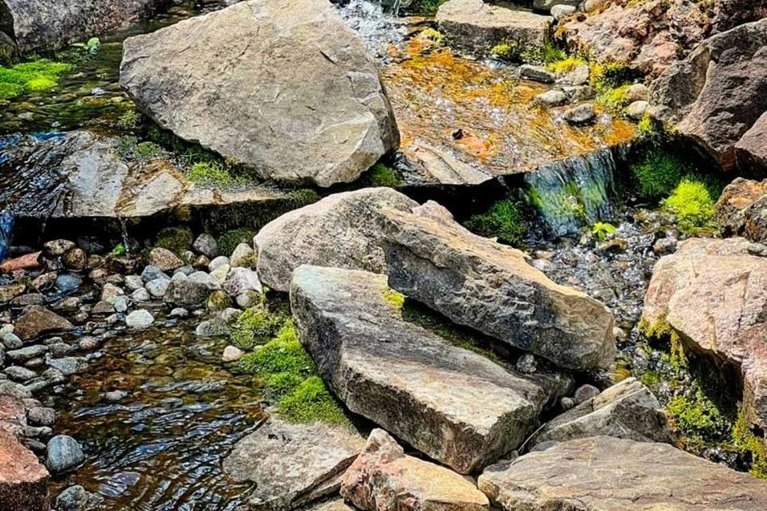 29541337/153-mclaren-drive/drummondnorth-elmsley-north-elmsley-twp/drummondnorth-elmsley/ontario/K7H0H1_43