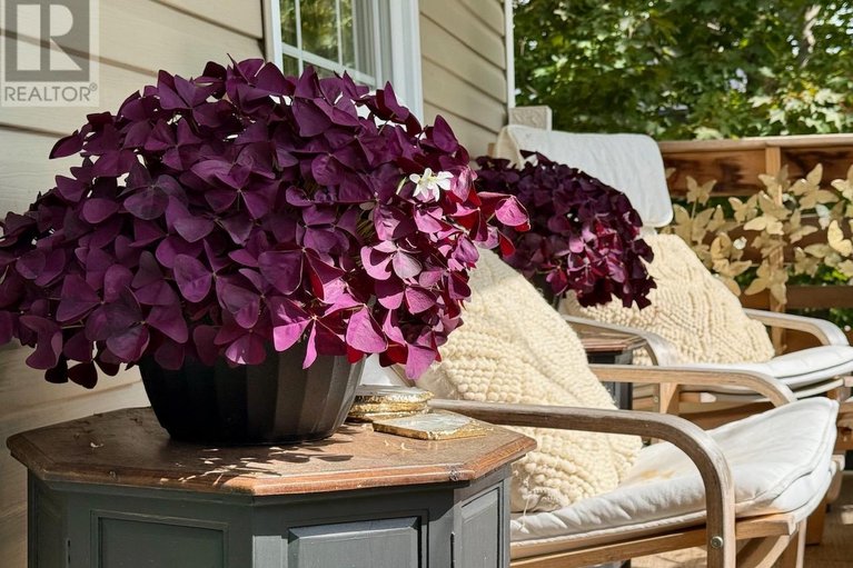 29613138/107-owen-street/lanark-highlands-lanark-village/lanark-highlands/ontario/K0G1K0_43