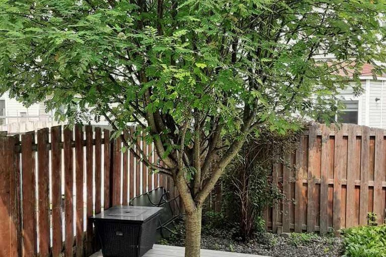 29358154/35-stonepointe-avenue/barrhaven-east/ottawa/ontario/K2G6G4_29