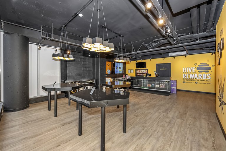 X12564330/101-179-george-st/lower-townbyward-market/ottawa/ontario/K1N1J8_11