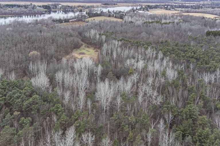 1322741/3511-river-road/osgoode/osgoode/on/K0A2W0_4