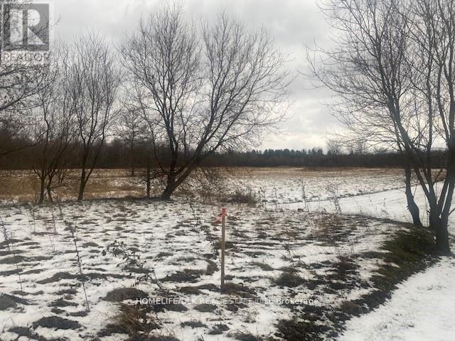 8875 Cty Rd 15 Road