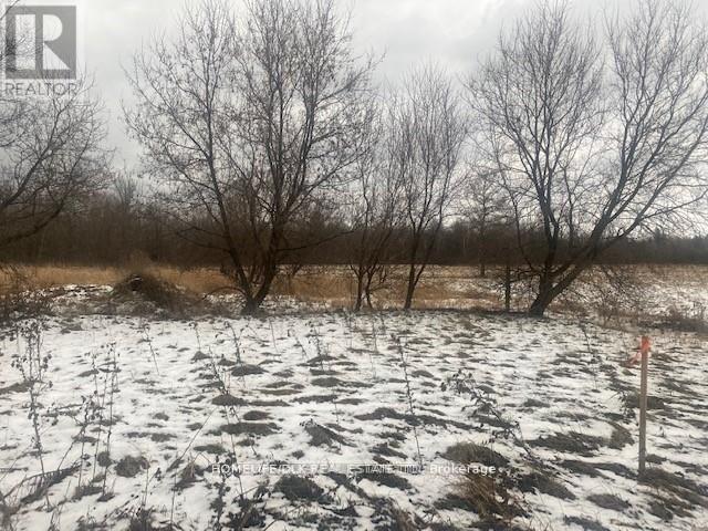 8875 Cty Rd 15 Road